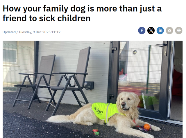 Dog sick children