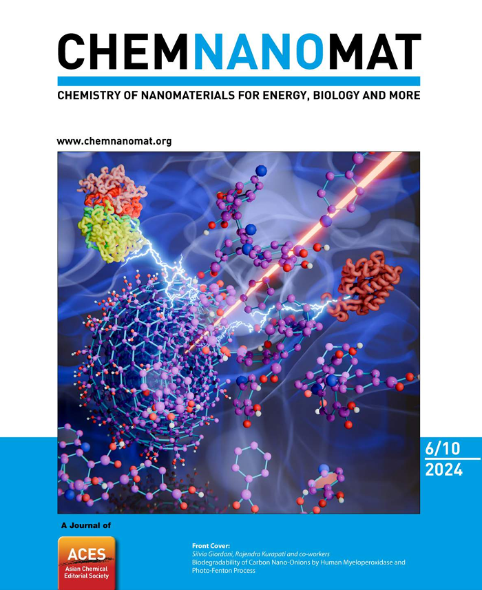 ChemNanoMat article cover