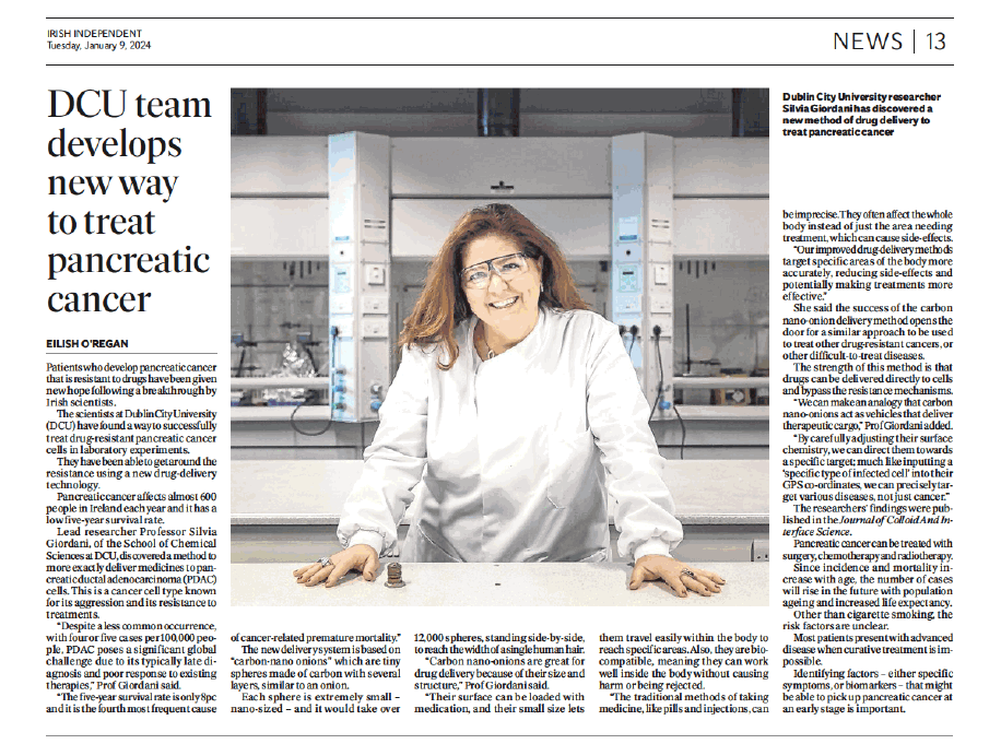 SG Irish Independent article